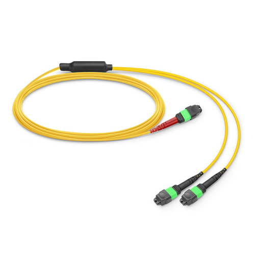 BLACKSTONE 24 Fiber 9/125μm 1MTP to 2MTP OS2 3.0mm Patch Cable 100Gb/Gigabit,  Single mode OS2, LSZH, Yellow, 5-Meter(16.4-ft), part number: BSOS2121MTPM2MTPULSZHYL5M