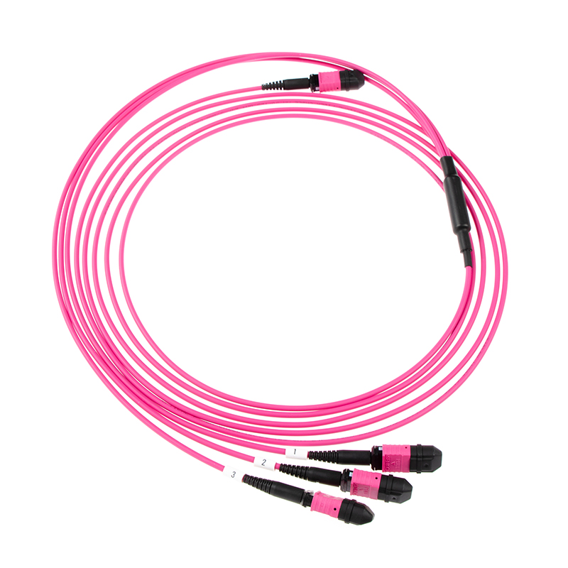BLACKSTONE 24 Fiber 50/125μm 1MPO to 3MTP OM4 Mini 3.0mm Patch Cable 100Gb/Gigabit,  Multimode OM4, LSZH, Magenta, 5-Meter(16.4-ft), part number: BSOM4241MPOM3MTPULSZHM5M